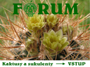 forum-kaktusy.jpg