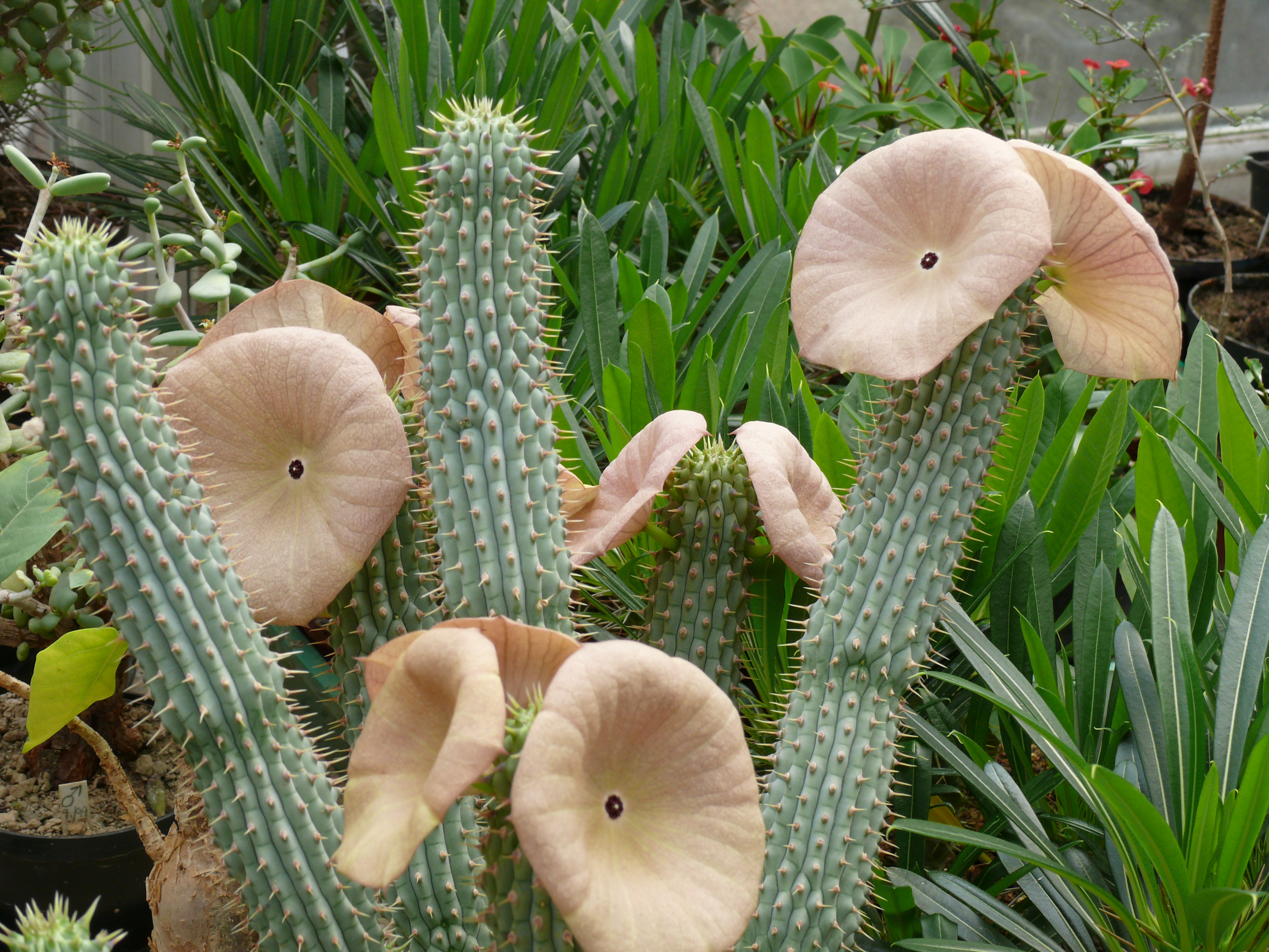 018
