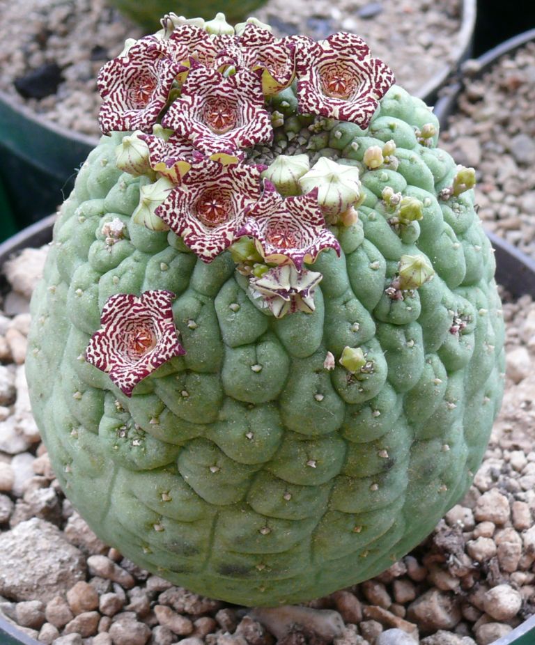 019