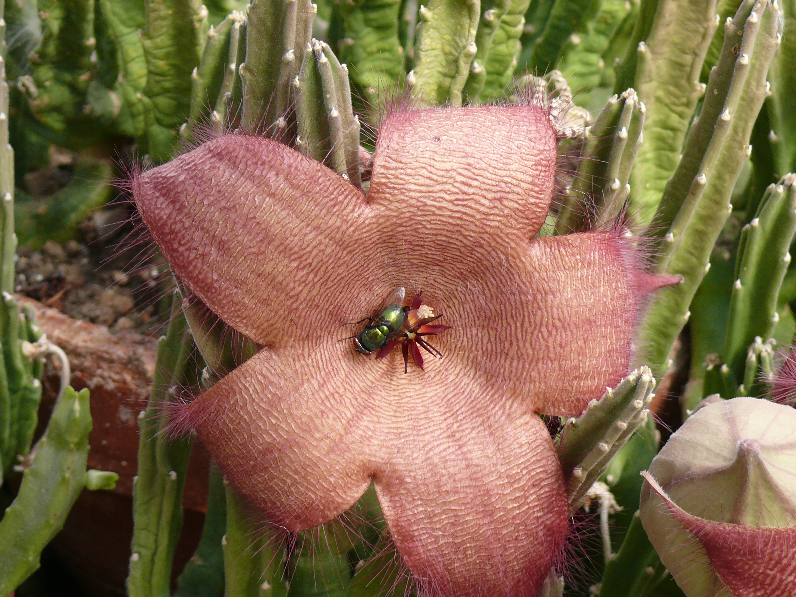 023