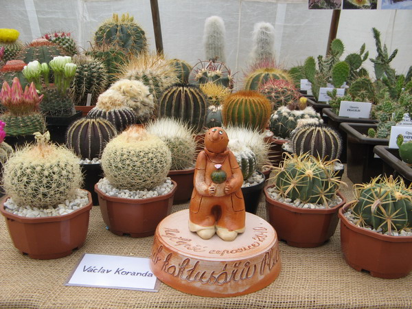 albert2010-koranda