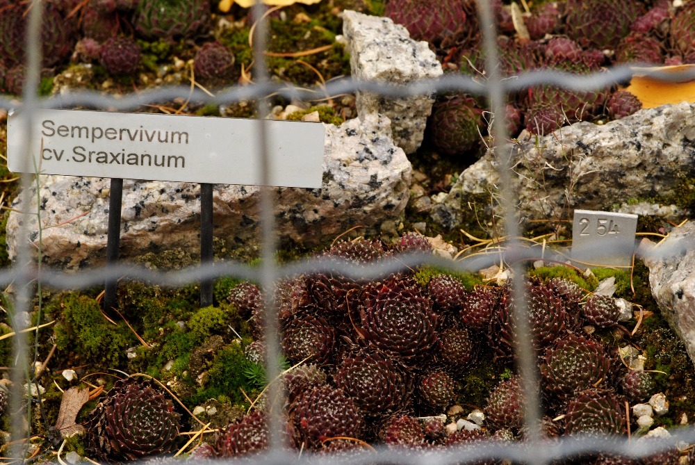 1 Liberec botanická zahrada