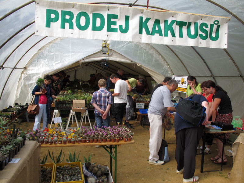vystava2012_0009