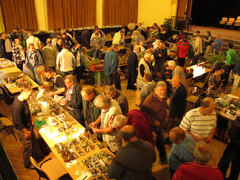 Kolokvium_2012_burza