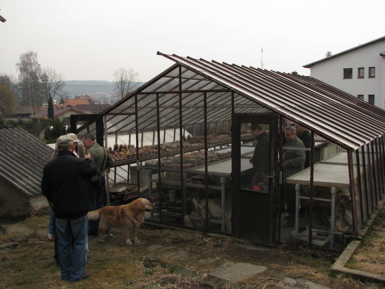 hajek 13.3.11-01