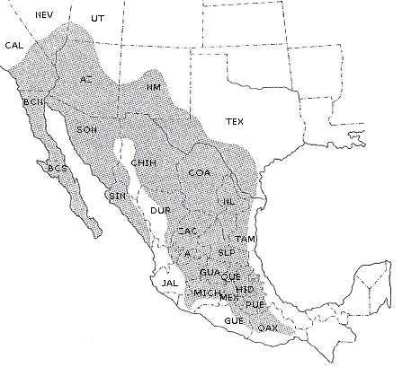 ferocactus-mapka1