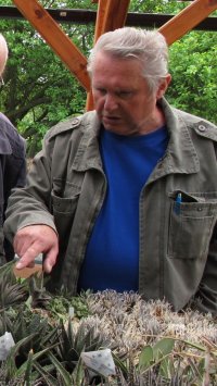 František Zelinka