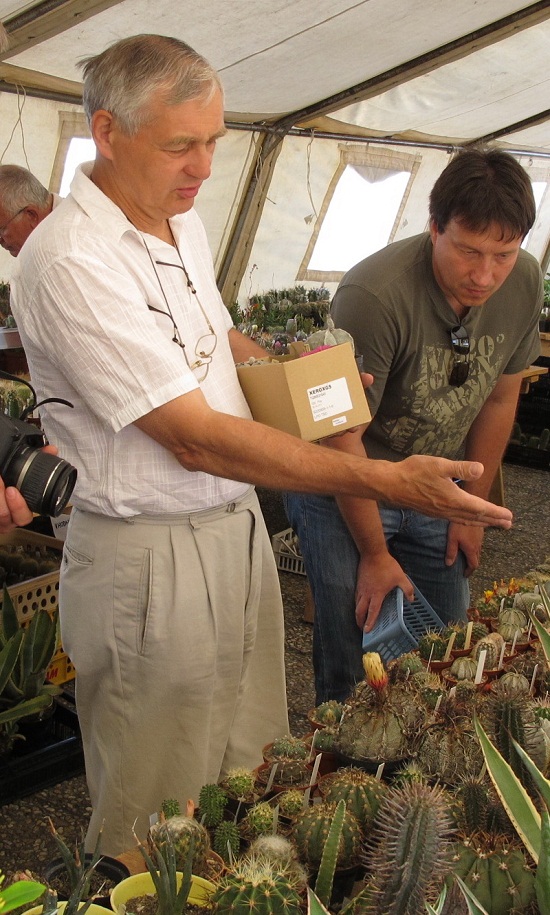 vladimr_steiner