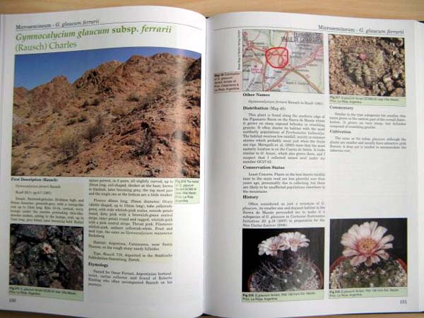 Charles_Gymnocalycium1
