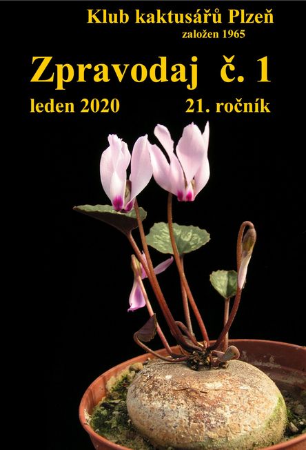 Zpravodaj č.1/2020