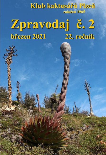 Zpravodaj č.2/2021